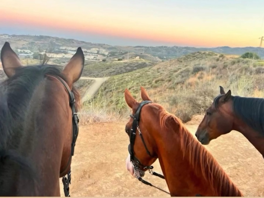 Riders in the Mijas mountains at sunset